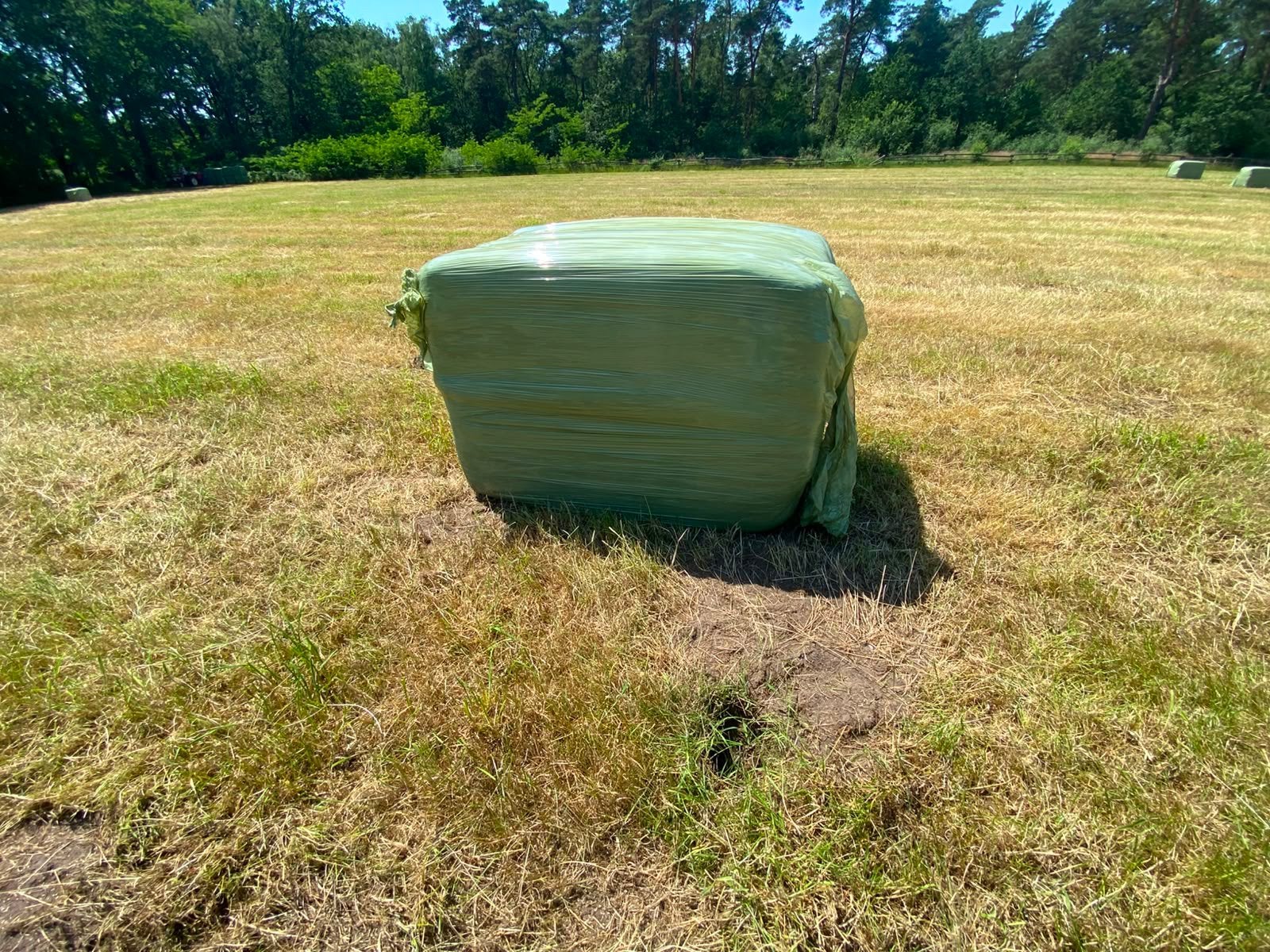 20 balen hooi in plastic te koop, Ophalen of Verzenden