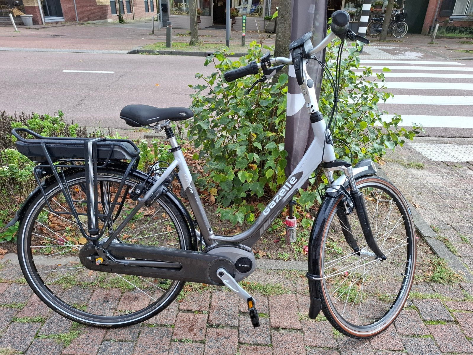 Gazelle Orange D53