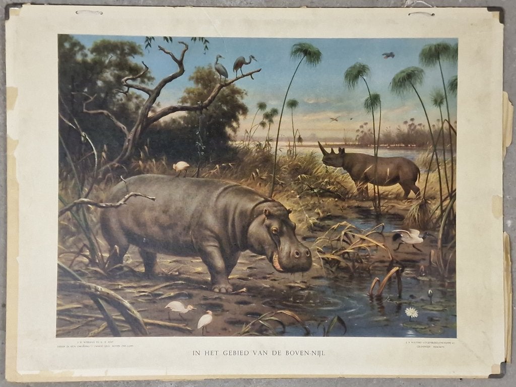 In het gebied van den Boven-Nijl / M.A. Koekkoek, Ophalen, Geschiedenis