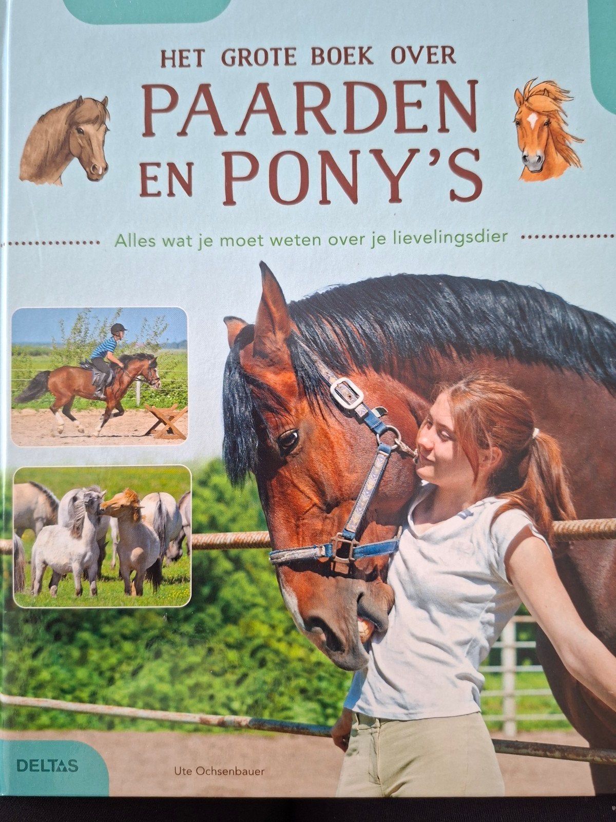 Het Grote Boek over Paarden en Pony's, Ophalen of Verzenden, Zo goed als nieuw, Ute Ochsenbauer, Non-fictie