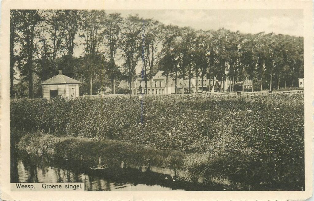 378-389-021 Weesp Groene Singel, Ophalen of Verzenden, Voor 1920, Noord-Holland