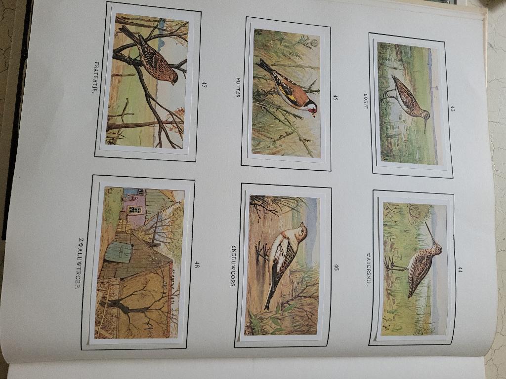 boek Herfst Jack P. J. Thijsse, Ophalen of Verzenden, Zo goed als nieuw, Prentenboek