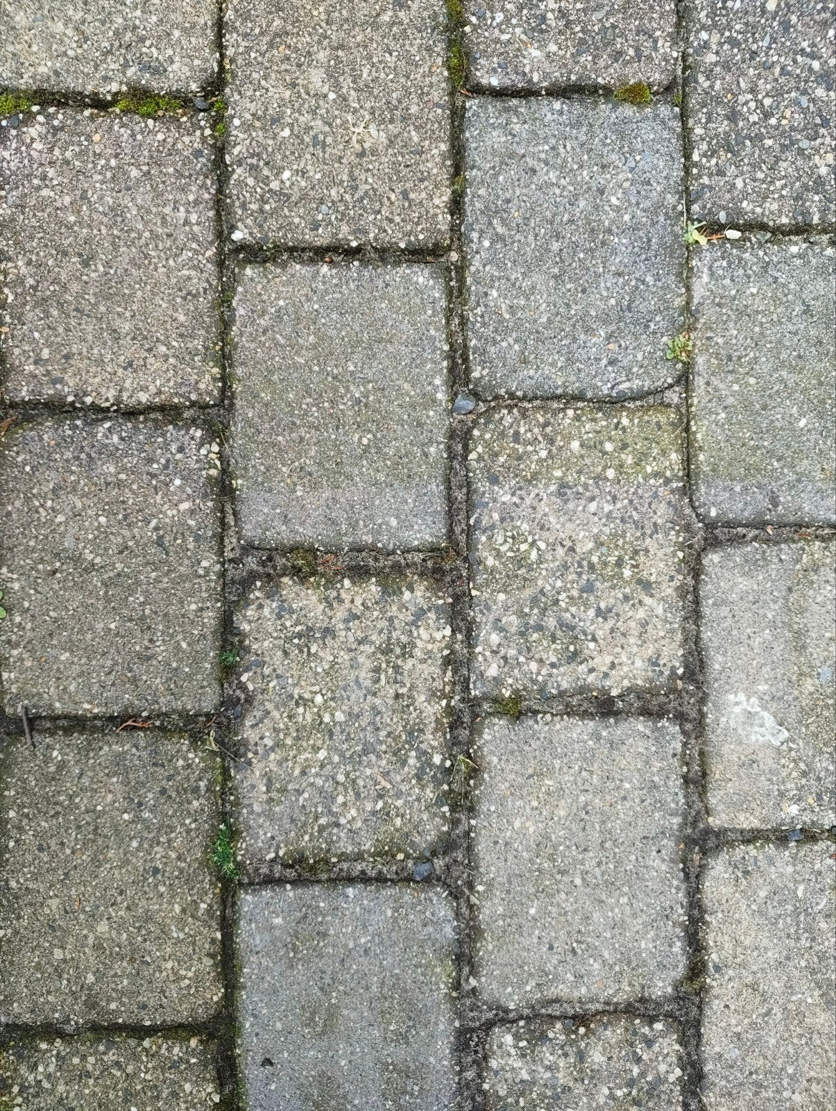 Ca 200 terras klinkers 19*14*8, liggen opgestapeld, GRATIS, Ophalen, Gebruikt, Beton, Klinkers
