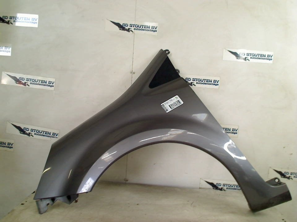 Spatbord Links Voor Renault Modus/Grand Modus (JP) 2008, Gebruikt, Renault Deutschland AG, Dialog.deutschland@renault.de, Peter-Huppertz-Straße 5, Köln 51063, , Duitsland