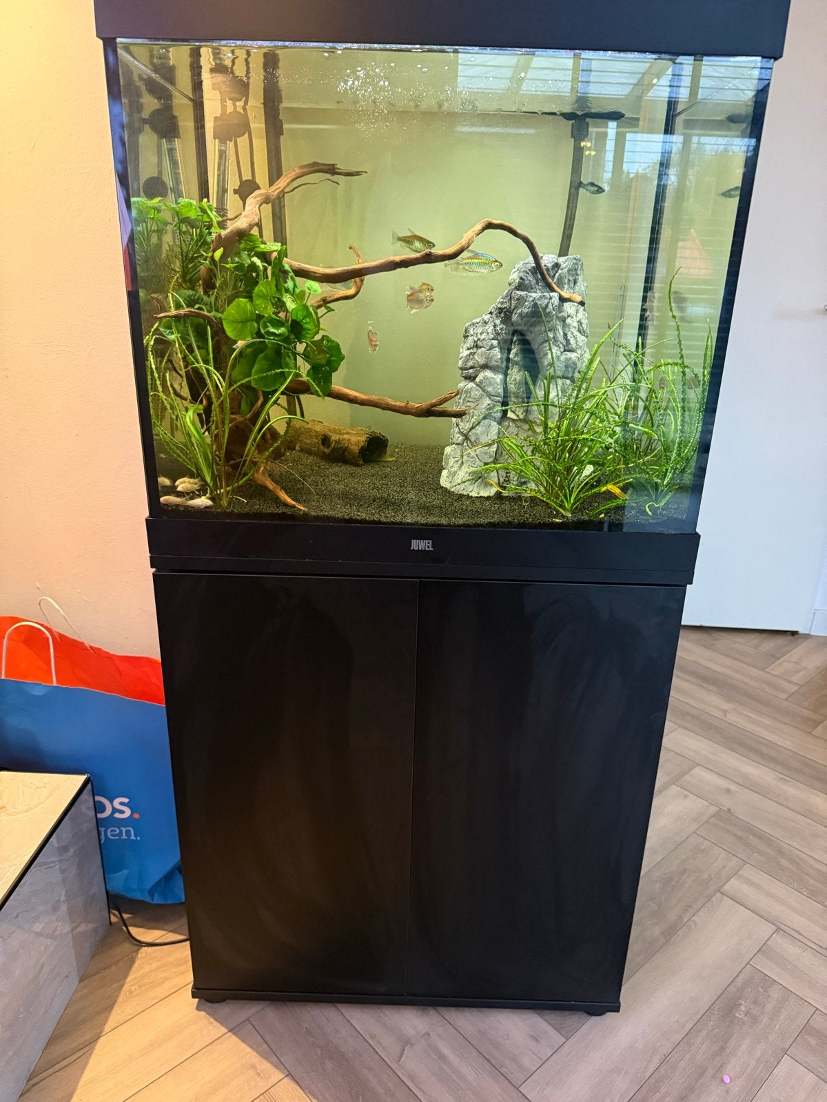 Lido 200 led aquarium met smart lamp, Aquariummeubel, Ophalen of Verzenden, Zo goed als nieuw, Juwel