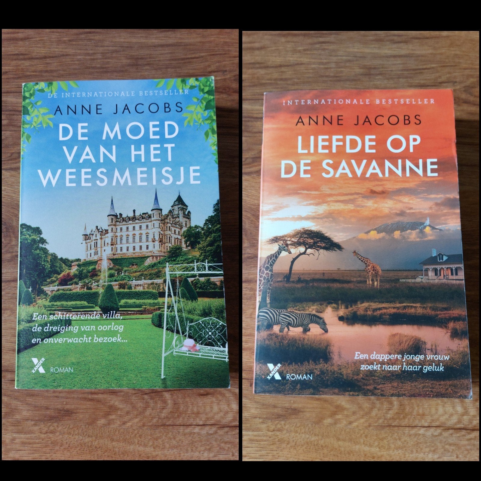 Romans van Anne Jacobs • o.a. De moed van het weesmeisje, Boeken, Ophalen of Verzenden, Zo goed als nieuw, Anne Jacobs