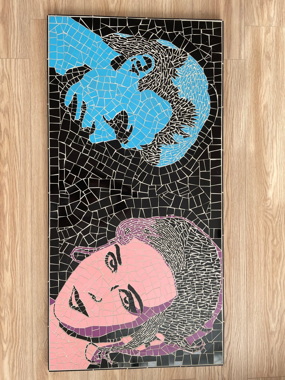 Uniek pop-art mozaïek kunstwerk uit 2007, Boeken, Ophalen, Zo goed als nieuw, Overige onderwerpen