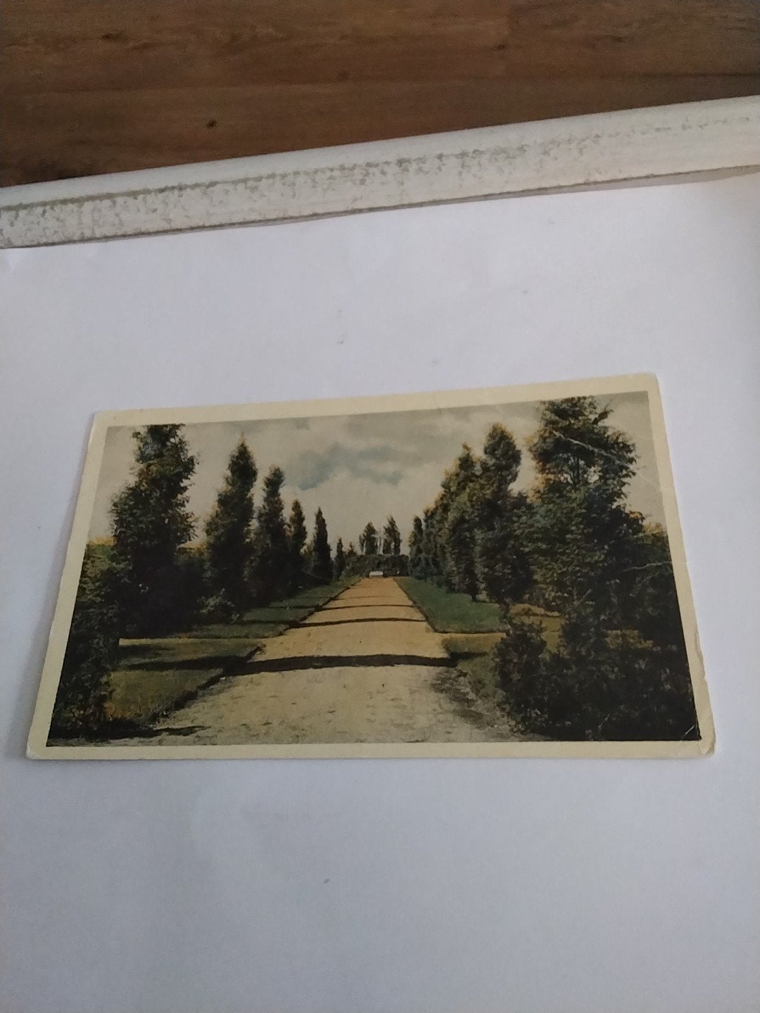 Oude ansichtkaart Huize Padua Boekel (N.Br.) Kerkhoflaan, Ophalen of Verzenden, Voor 1920, Gelopen, Noord-Brabant