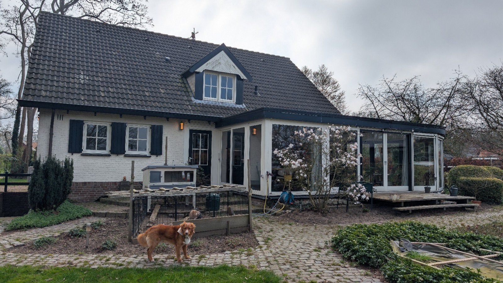 Complete Serre met HR++ Glas | inclusief 2 schuifpuien, Ophalen, Hout, 225 cm of meer, Schuifpui