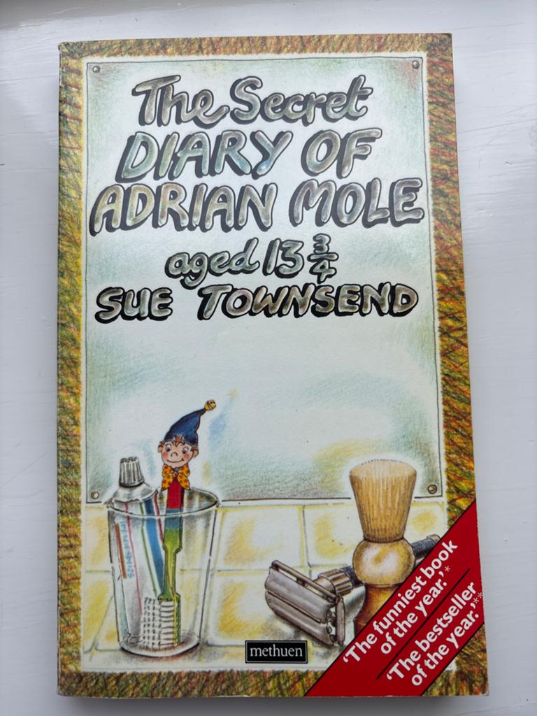 Het Geheime Dagboek van Adrian Mole 13 3/4 - Sue Townsend, Boeken, Ophalen of Verzenden, Gelezen, Europa overig