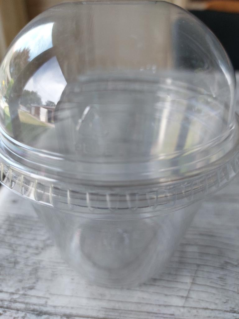 Transparant plastic bakjes met deksel voor fruit of groenten, Ophalen
