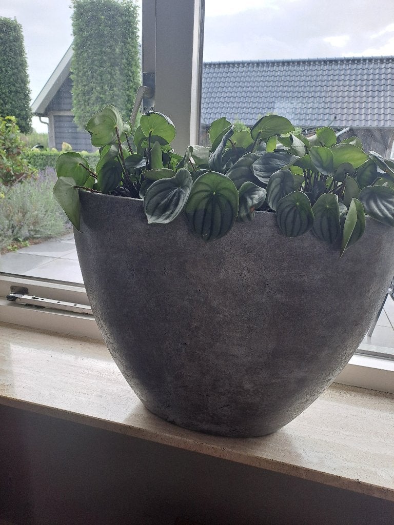 bloempot/vaas, Huis en Inrichting, Ophalen, Grijs