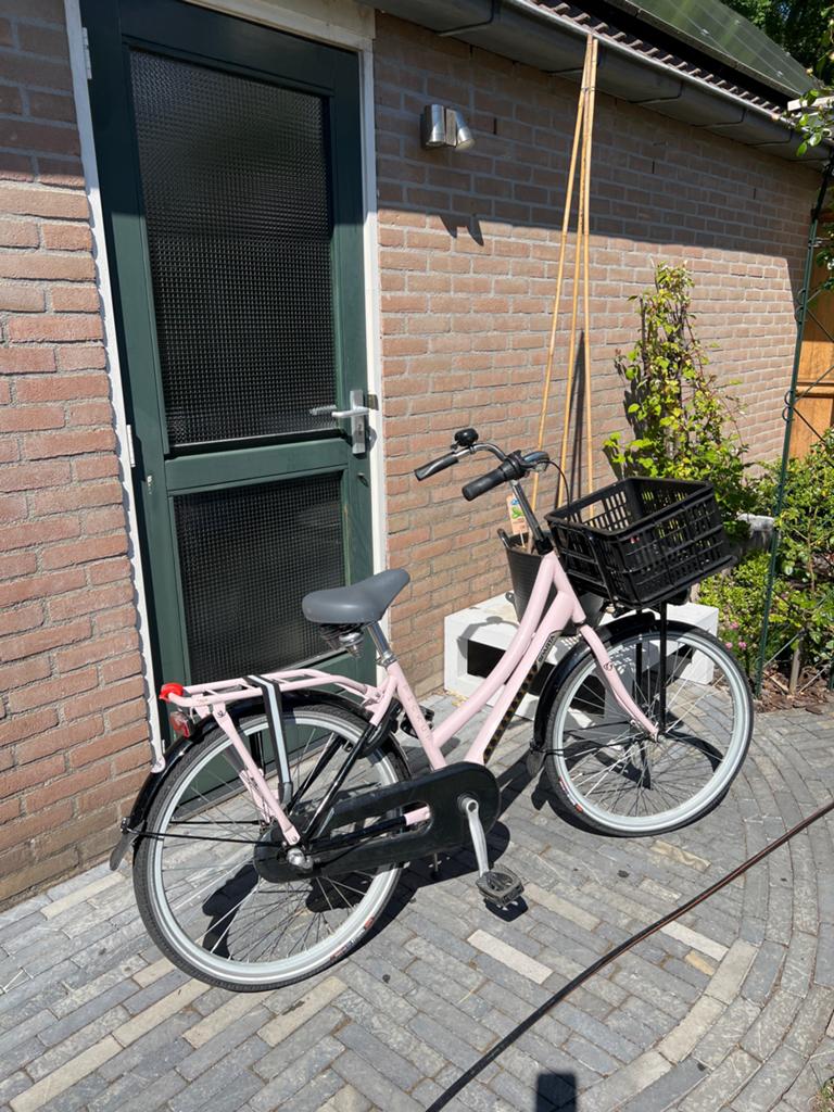 Roze sparta fiets met mandje - 26 inch, Terugtraprem, Gebruikt, Versnellingen, Ophalen