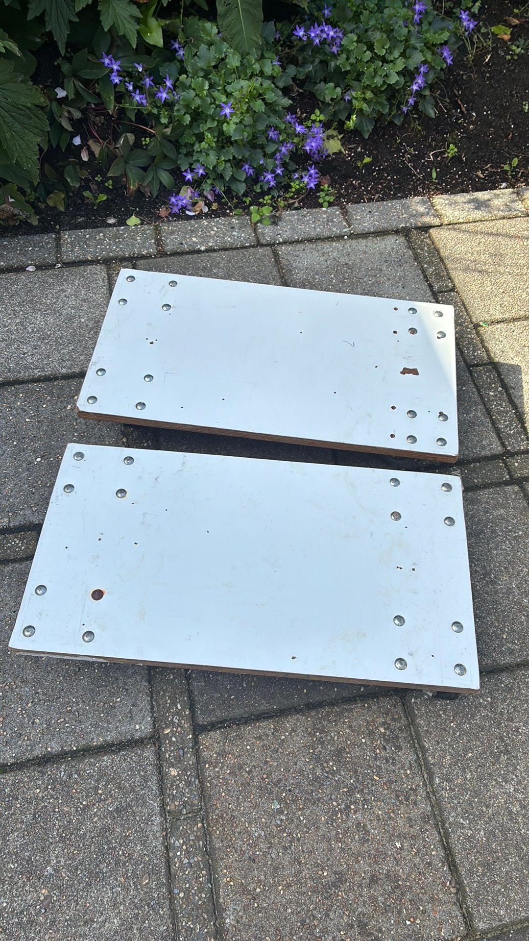Verhuis Hondje 2 stuks  60 bij 32 cm, Ophalen, Gebruikt