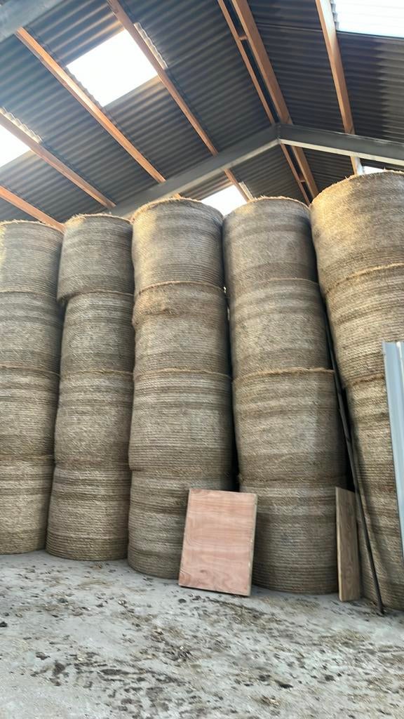 Hooi  Balen te Koop, Ophalen of Verzenden