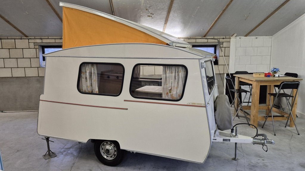 UNIEKE Kip Kuiken 1964 compleet gerestaureerd., Kip, Tot en met 2, Bedrijf, Tot 4 meter