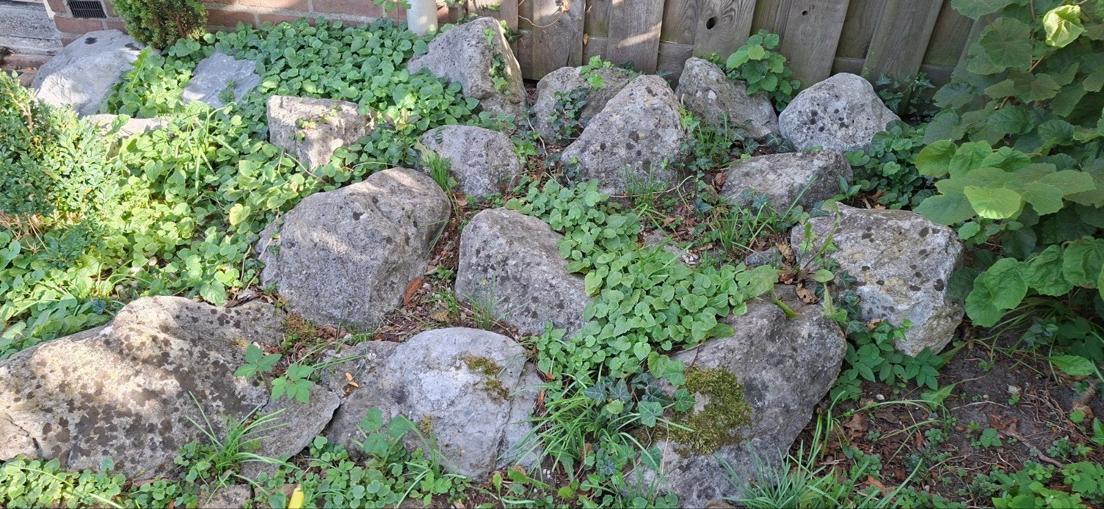 Foto 9 van Basalt blokken mooie voor aan je vijver Gratis met geld er b