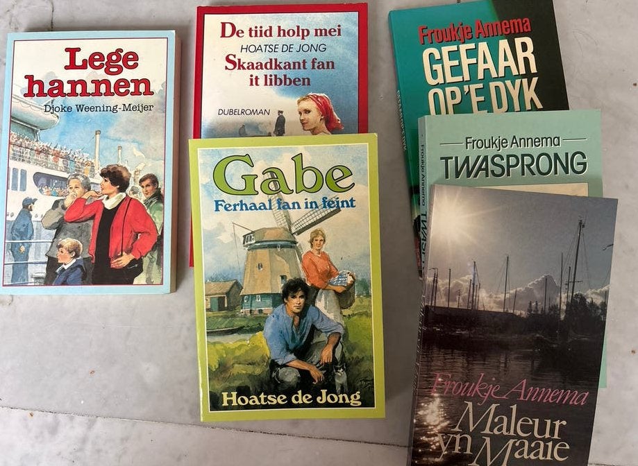 5 Friese boeken - Hoatse de Jong, Froukje Annema, Djoke Ween, Ophalen of Verzenden, Gelezen, Nederland