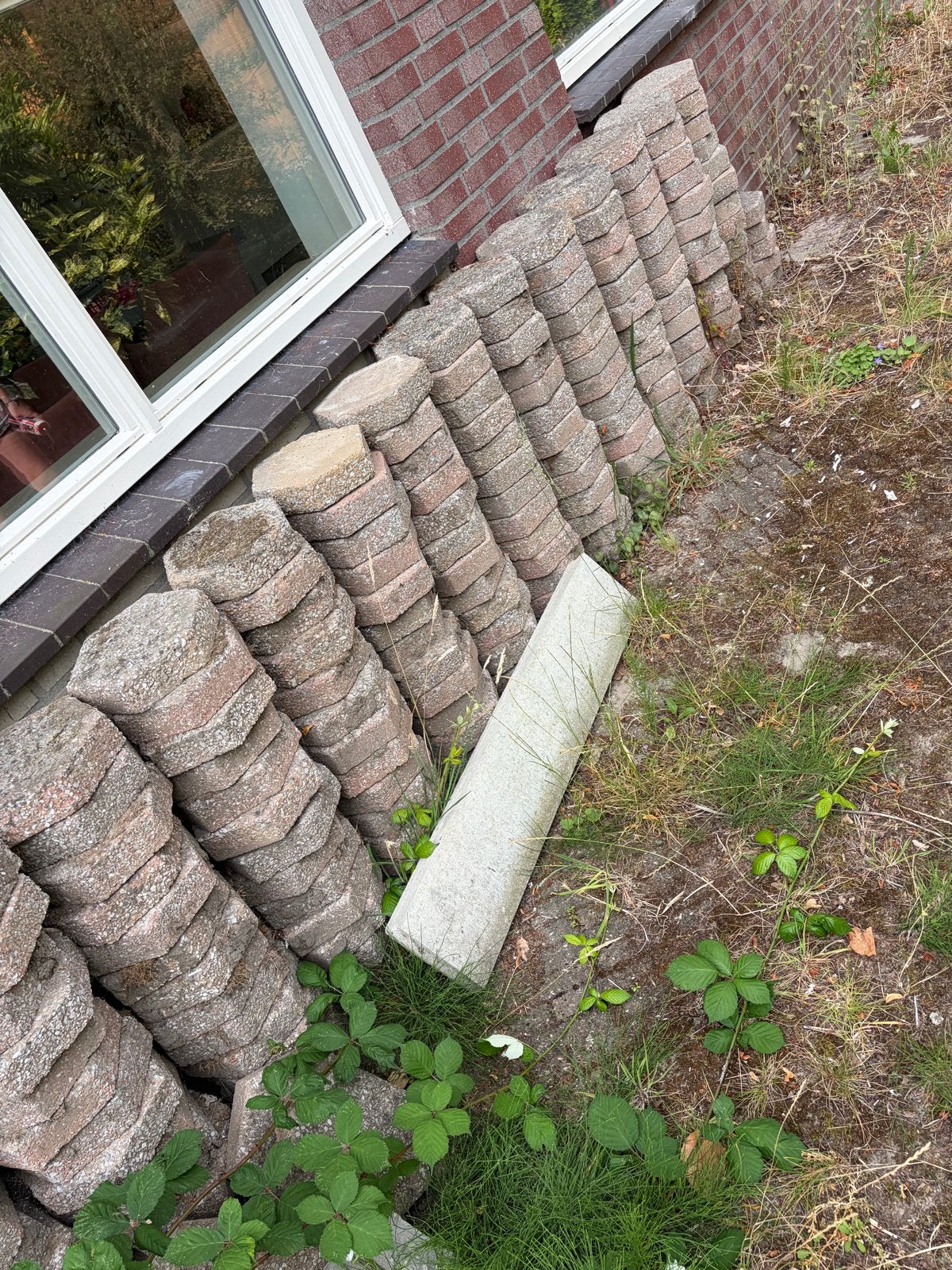 Gratis af te halen: Gebruikte terrastegels, Ophalen, Gebruikt, 10 m² of meer, Beton