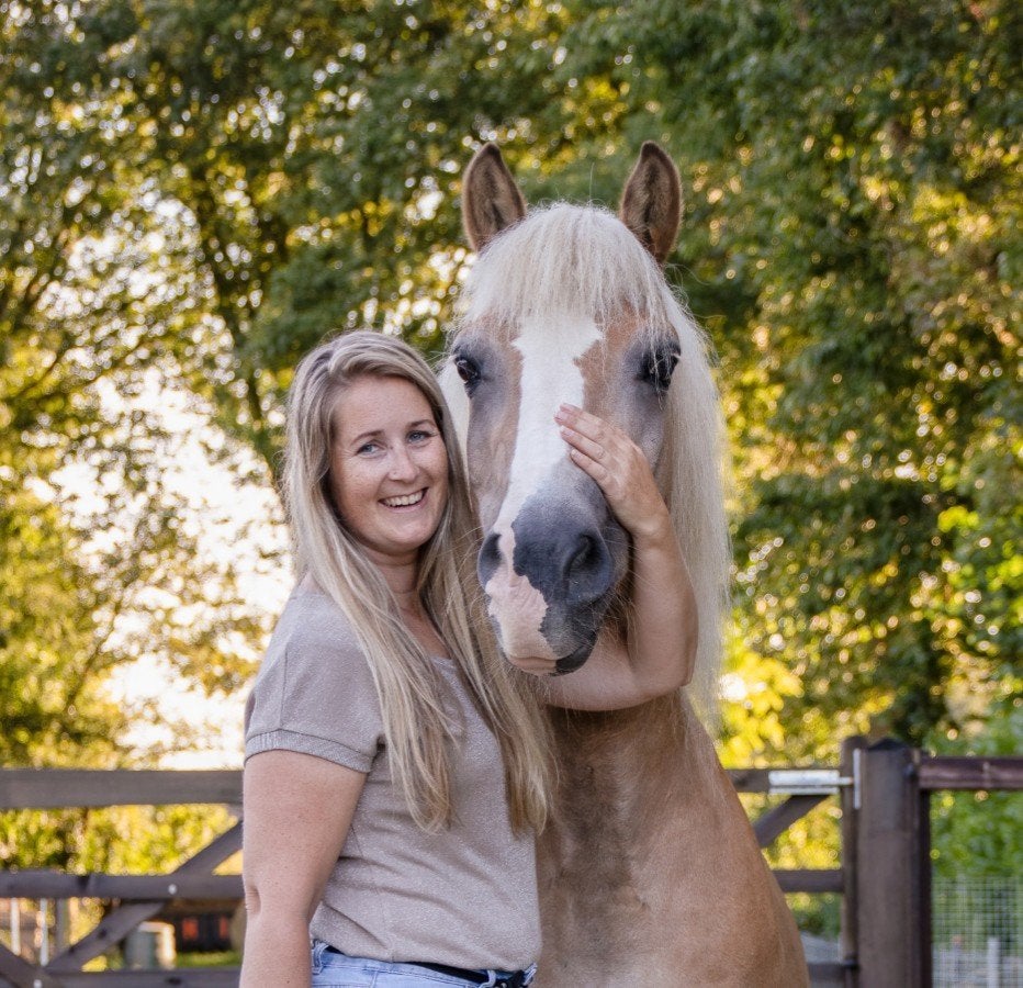 Bijrijder aangeboden braaf paard gezocht, Ophalen, Nieuw, Dressuur
