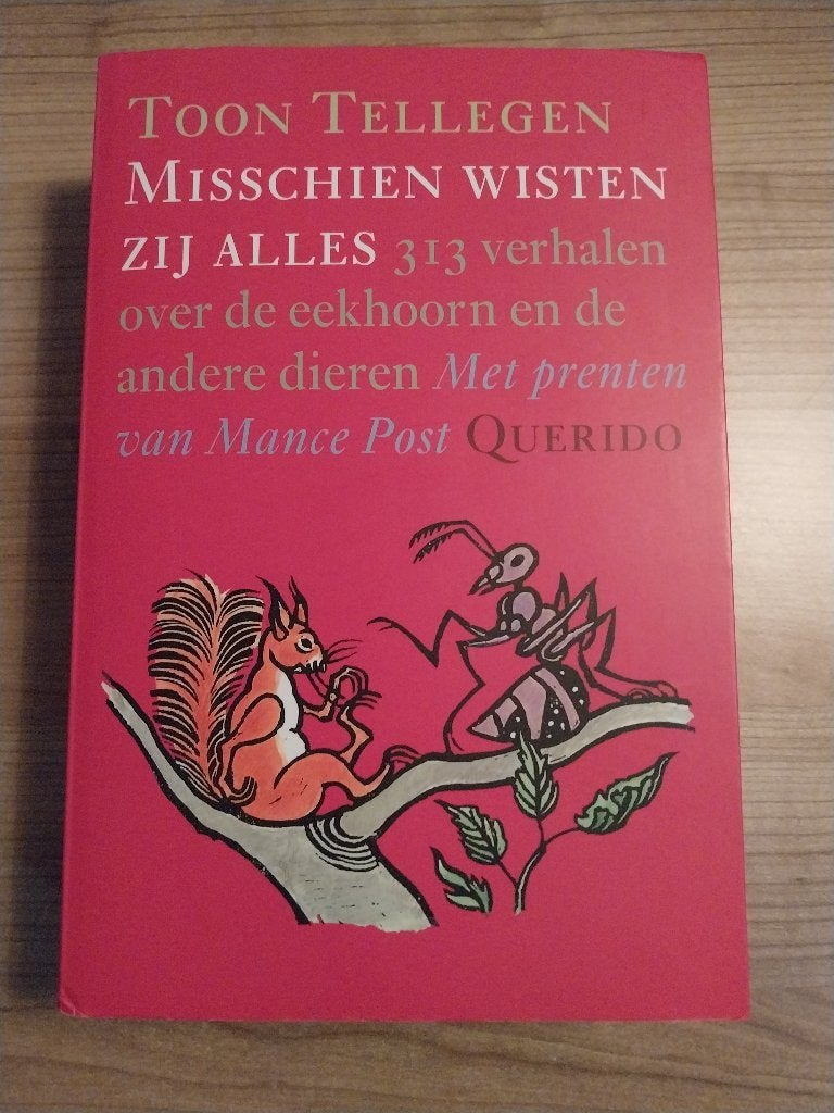 ZGAN Toon Tellegen Misschien wisten zij alles - 313 verhalen, Ophalen, Zo goed als nieuw