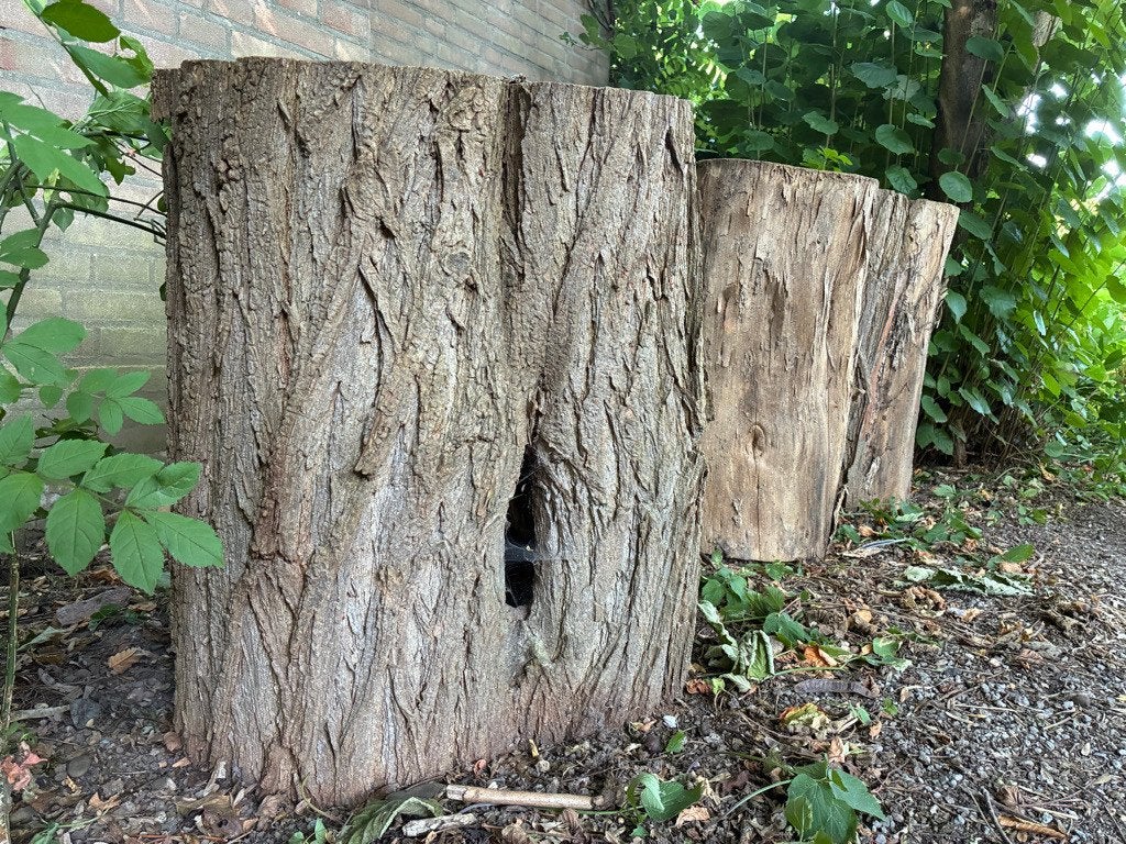 robinia hout, Hobby en Vrije tijd, Knutselen, Gebruikt, Overige typen, Hout, Ophalen