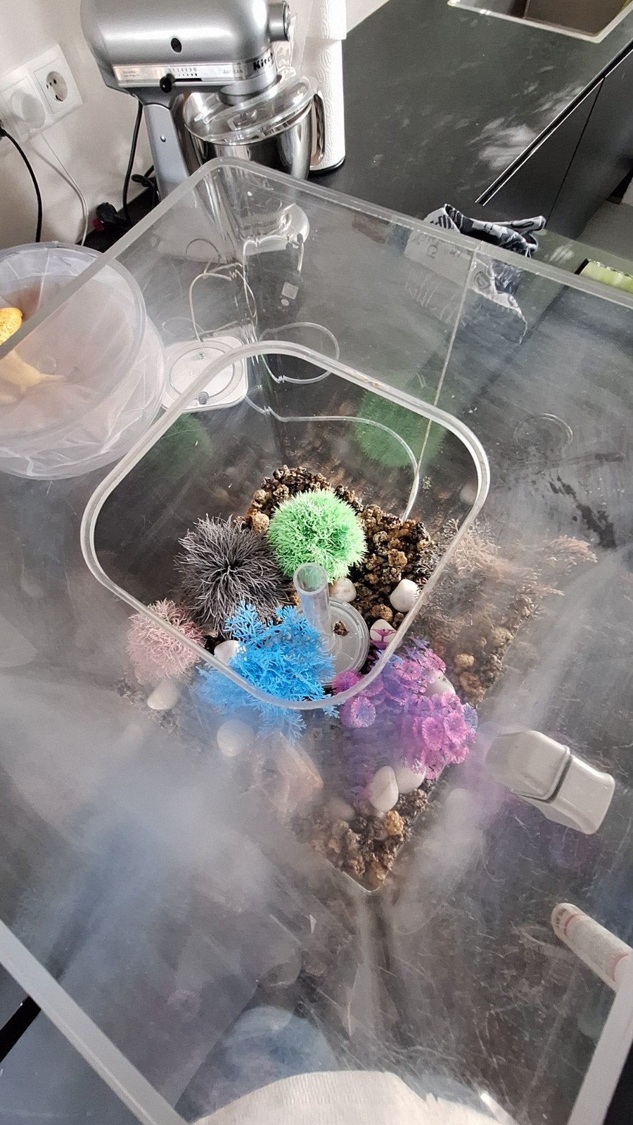Biorb Aquarium 60L, Dieren en Toebehoren, Ophalen, Gevuld zoetwateraquarium