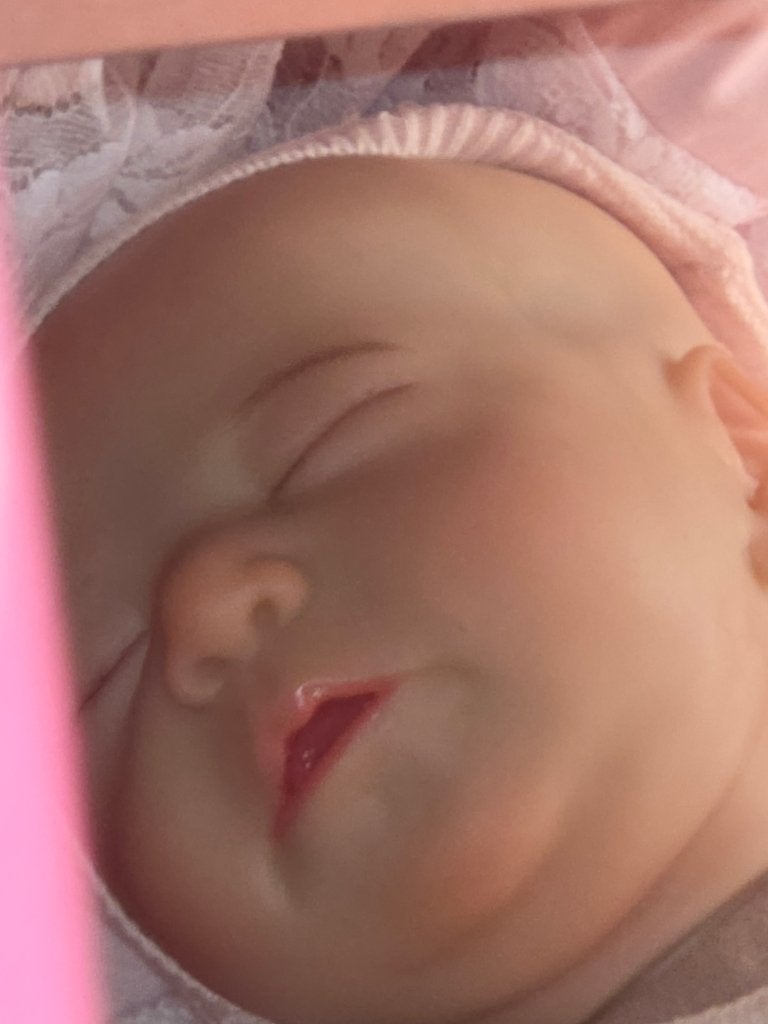 Reborn eur 120 incl verzenden, Verzenden, Zo goed als nieuw, Pop