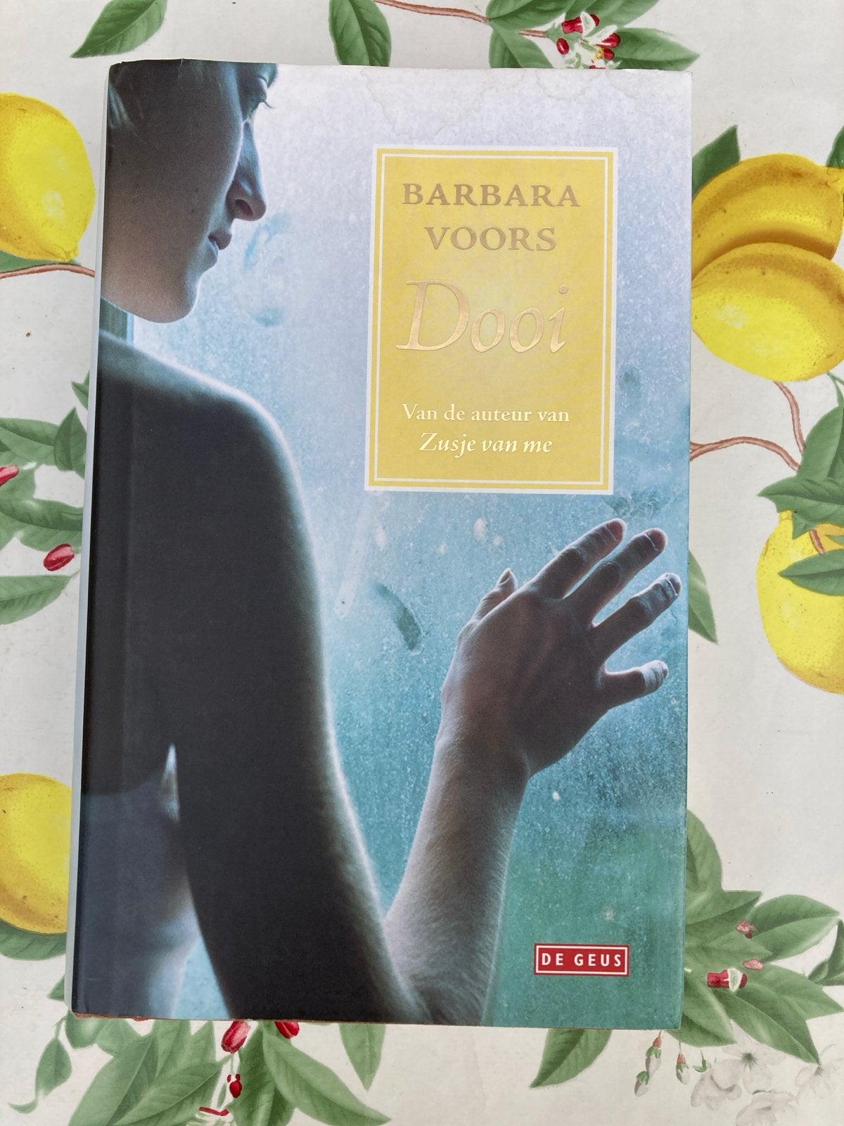Bb Barbara Voors - Dooi, Ophalen of Verzenden, Zo goed als nieuw, Barbara Voors