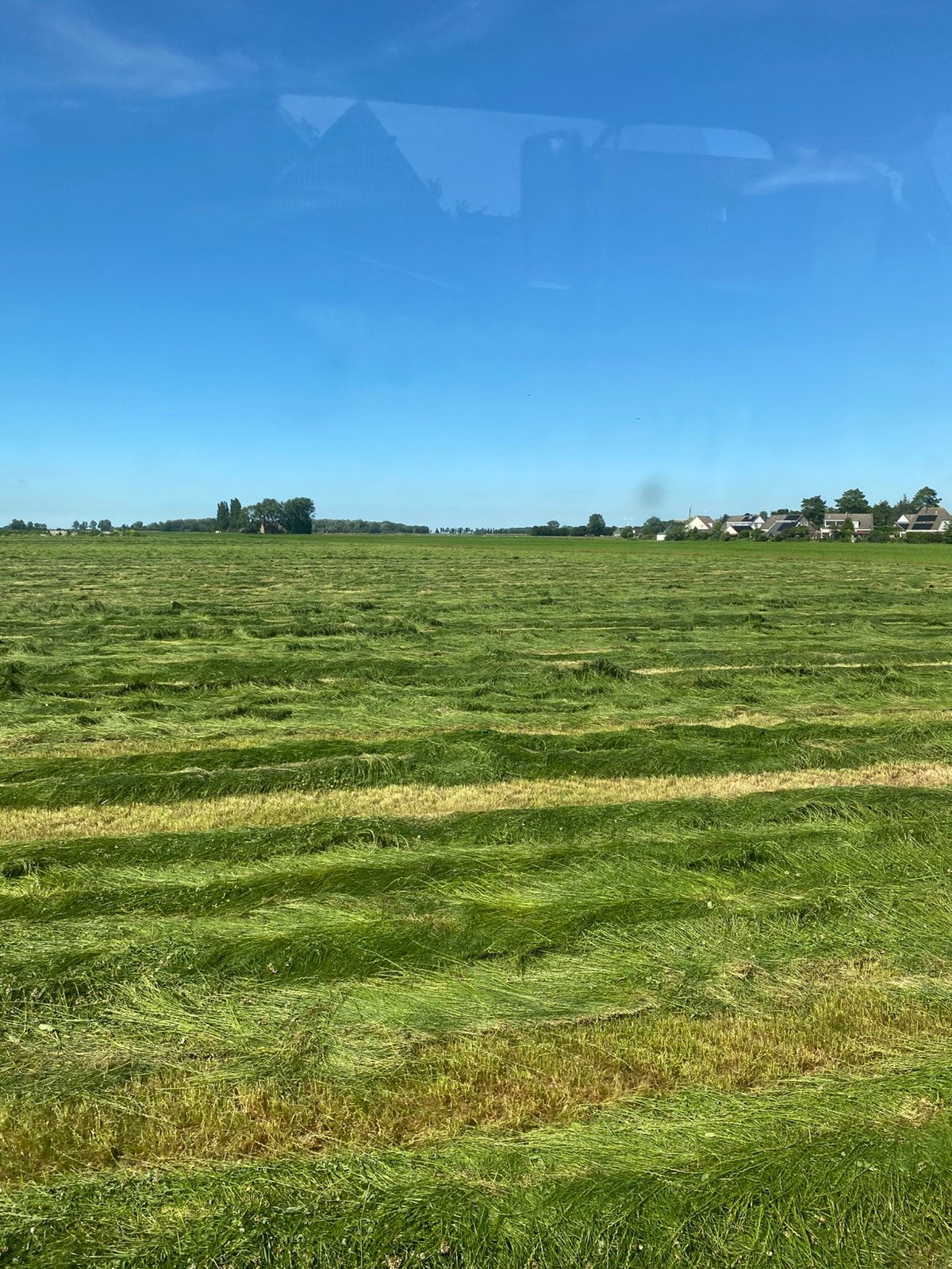 Hooi, Dieren en Toebehoren, Stalling en Weidegang