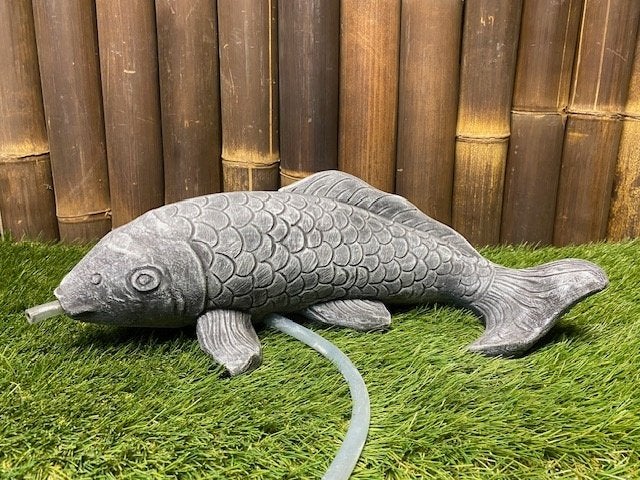 Koi karper nr.2347