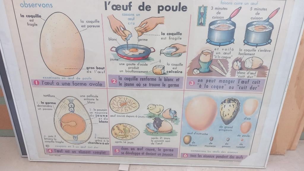 Poster l'oeuf, Ophalen, Gebruikt, Met lijst, Rechthoekig Liggend