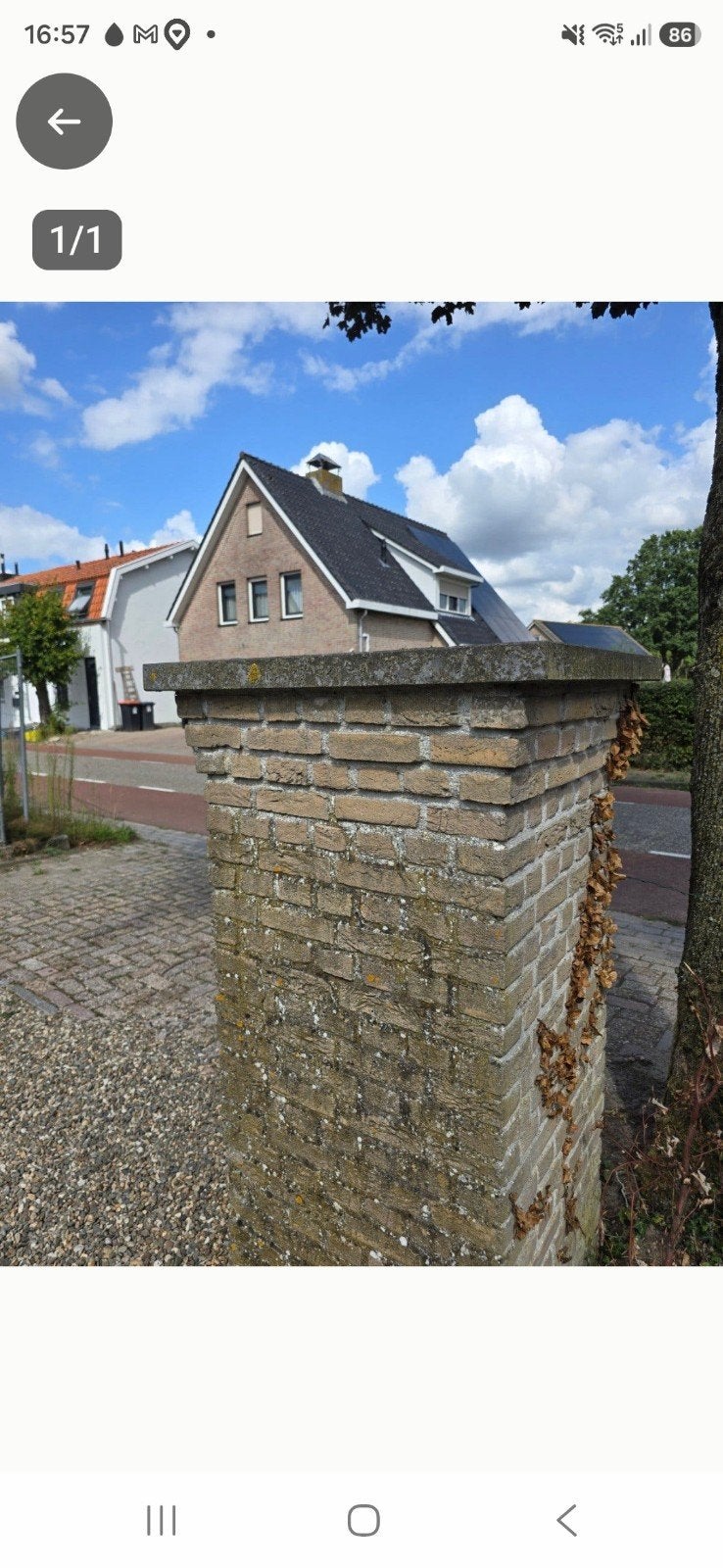 paalmuts, Ophalen