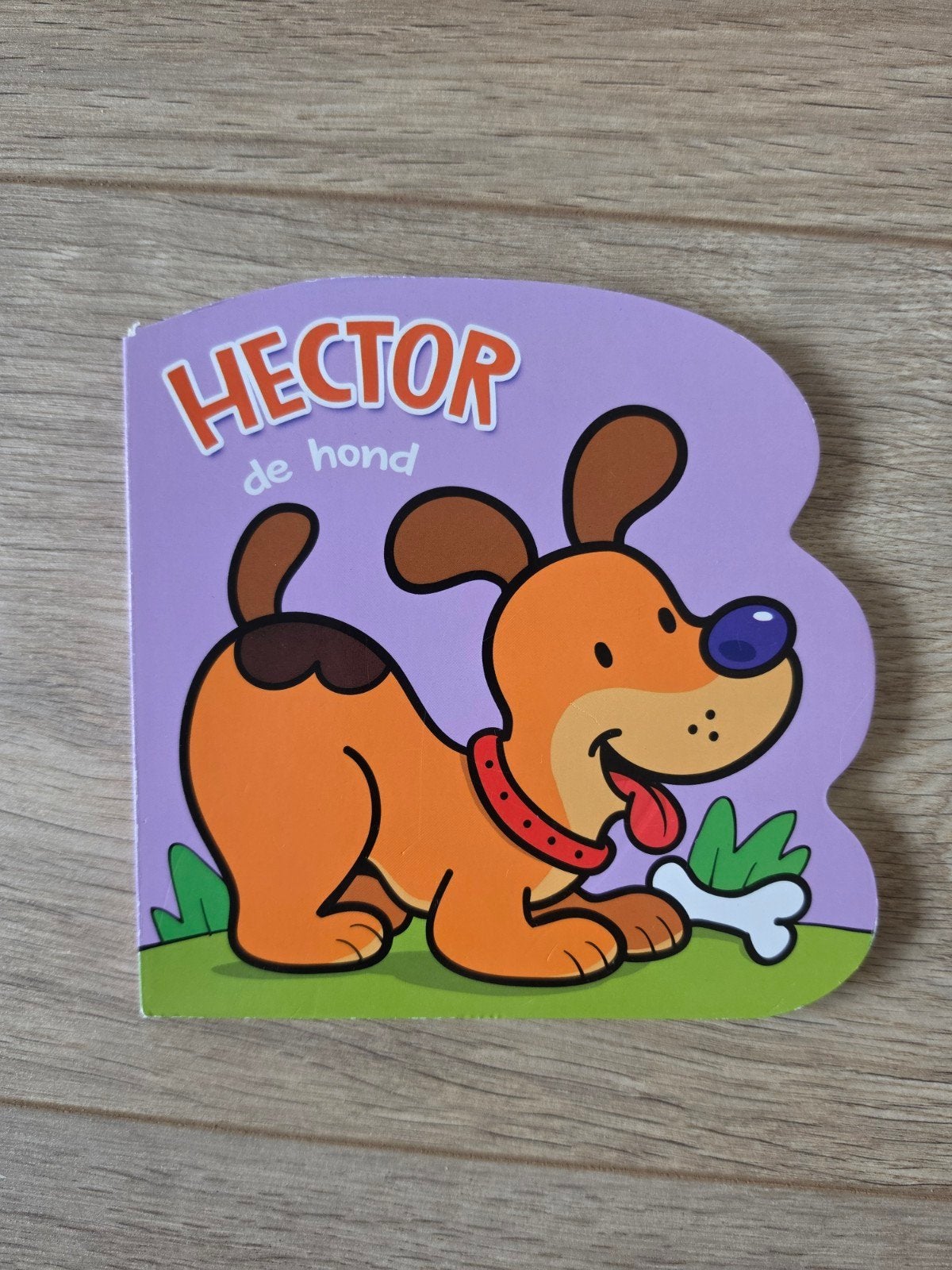 Hector de hond klein dik karton boekje nieuw, Ophalen of Verzenden, Nieuw