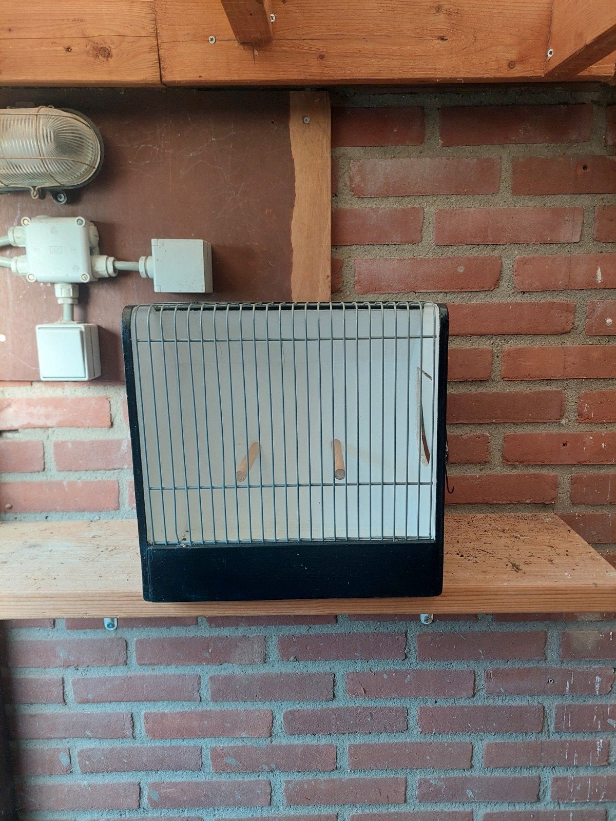 50 tentoonstellingskooien, Dieren en Toebehoren, Ophalen of Verzenden, Zo goed als nieuw, Hout, Vogelkooi