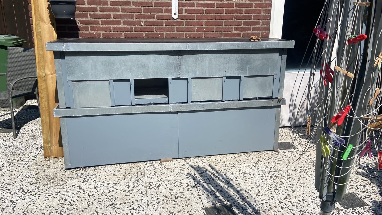 Donkerhok, Meerdere dieren, Postduif