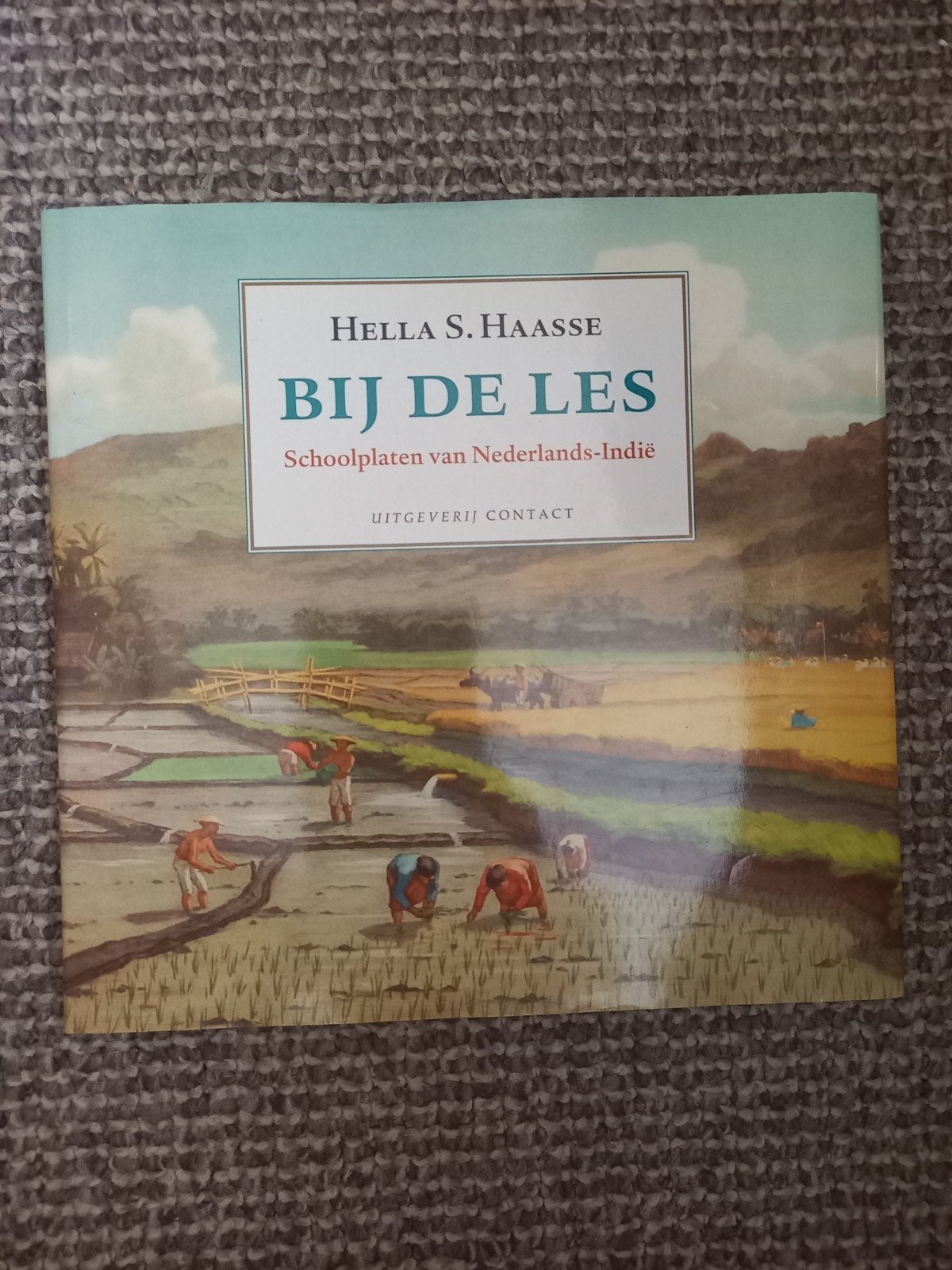 w03 Bij de les - Schoolplaten van Nederlands-Indië, Ophalen of Verzenden, 20e eeuw of later, Gelezen, Hella S. Haasse