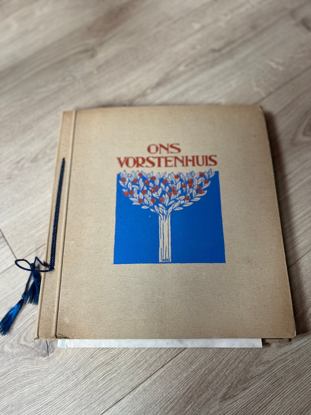 Ons Vorstenhuis - Historisch Fotoalbum met oude Vorsten, Boeken, Ophalen, 20e eeuw of later, Gelezen