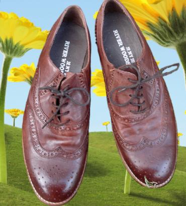 RIVER WOODS ‍️😎 brogues maat 43, Kleding | Heren, Schoenen, Bruin, Verzenden, Zo goed als nieuw, River Woods
