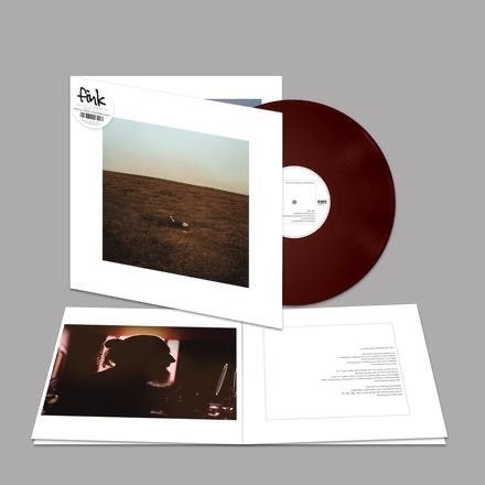 Fink - The City Is Coming To Erase It All (Winter Gorse LP)