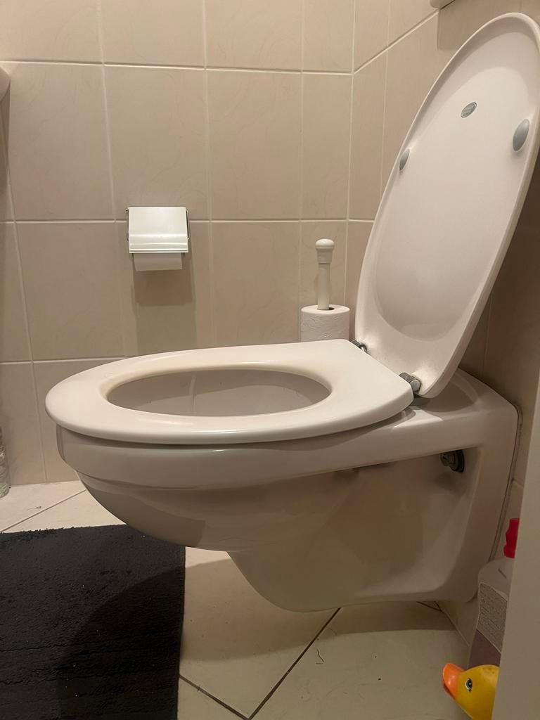 Geberit inbouwreservoir en toilet met bril, Ophalen, Gebruikt, Steen, Toilet