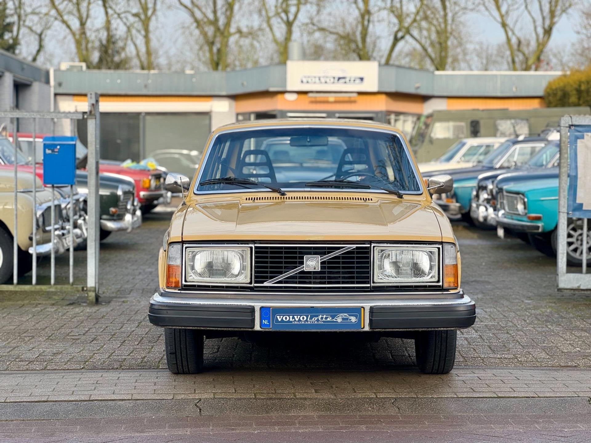 Volvo 245 2.1 GL, Gebruikt, Overige modellen, 4 cilinders, 1290 kg