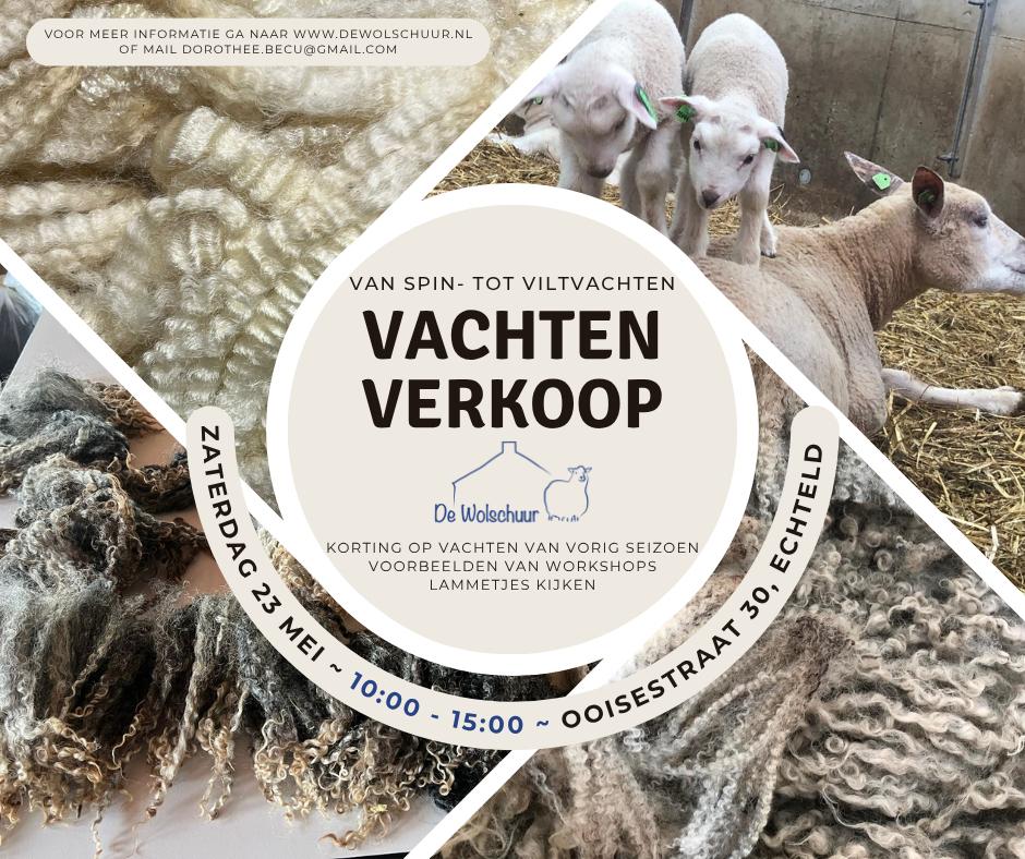Uitgezochte ruwe schapenvachten voor vilten en spinnen., Ophalen, Spinwol