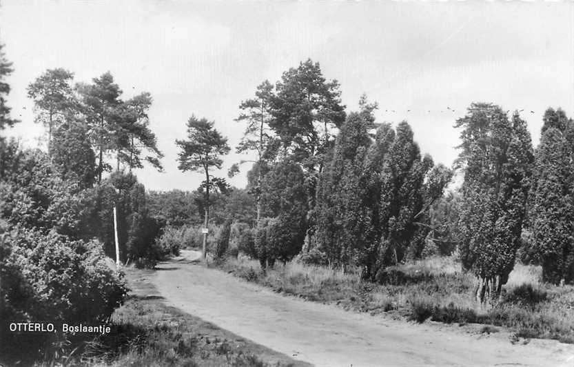 300-061-041 Otterlo Boslaantje, Verzenden, Voor 1920, Gelderland