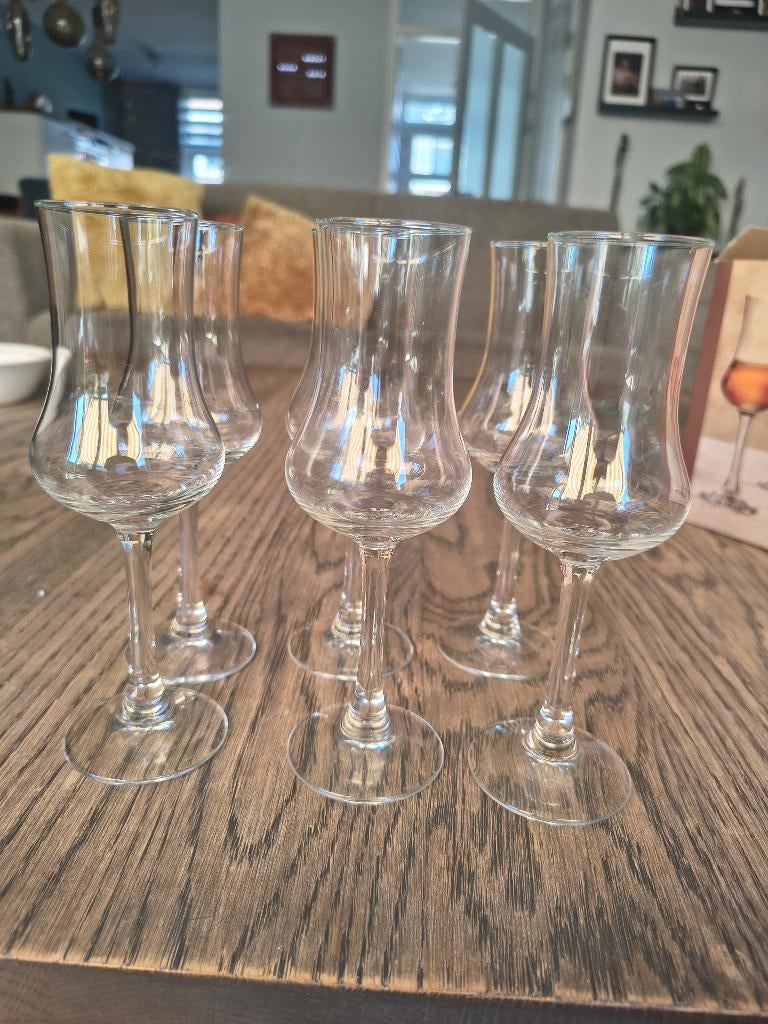 Royal Leerdam grappa glazen, Ophalen, Zo goed als nieuw, Borrel- of Shotglas