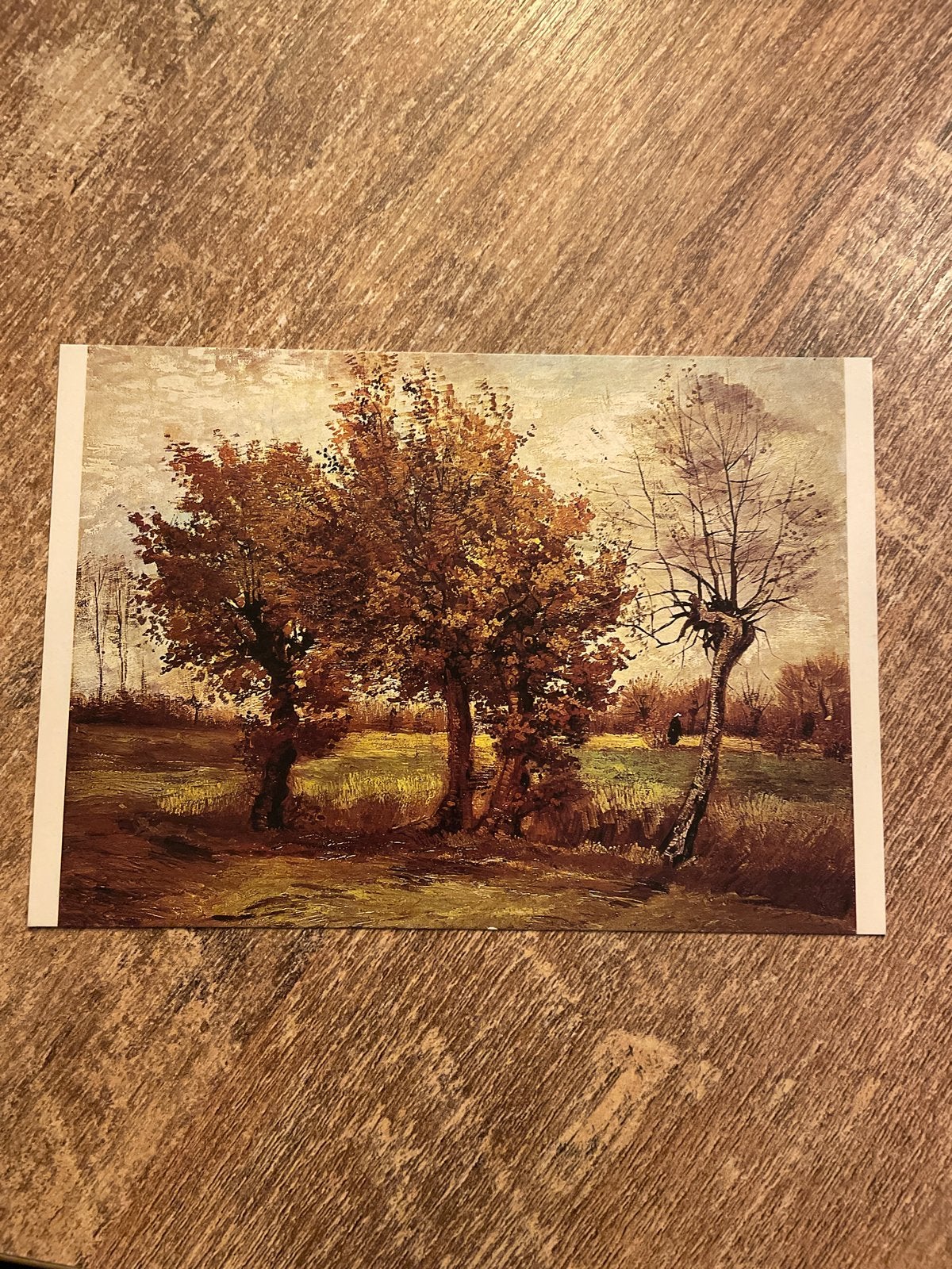 Ansichtkaart Vincent van Gogh - Herfstlandschap Nuenen 1885, Ophalen of Verzenden, Ongelopen, Overige thema's