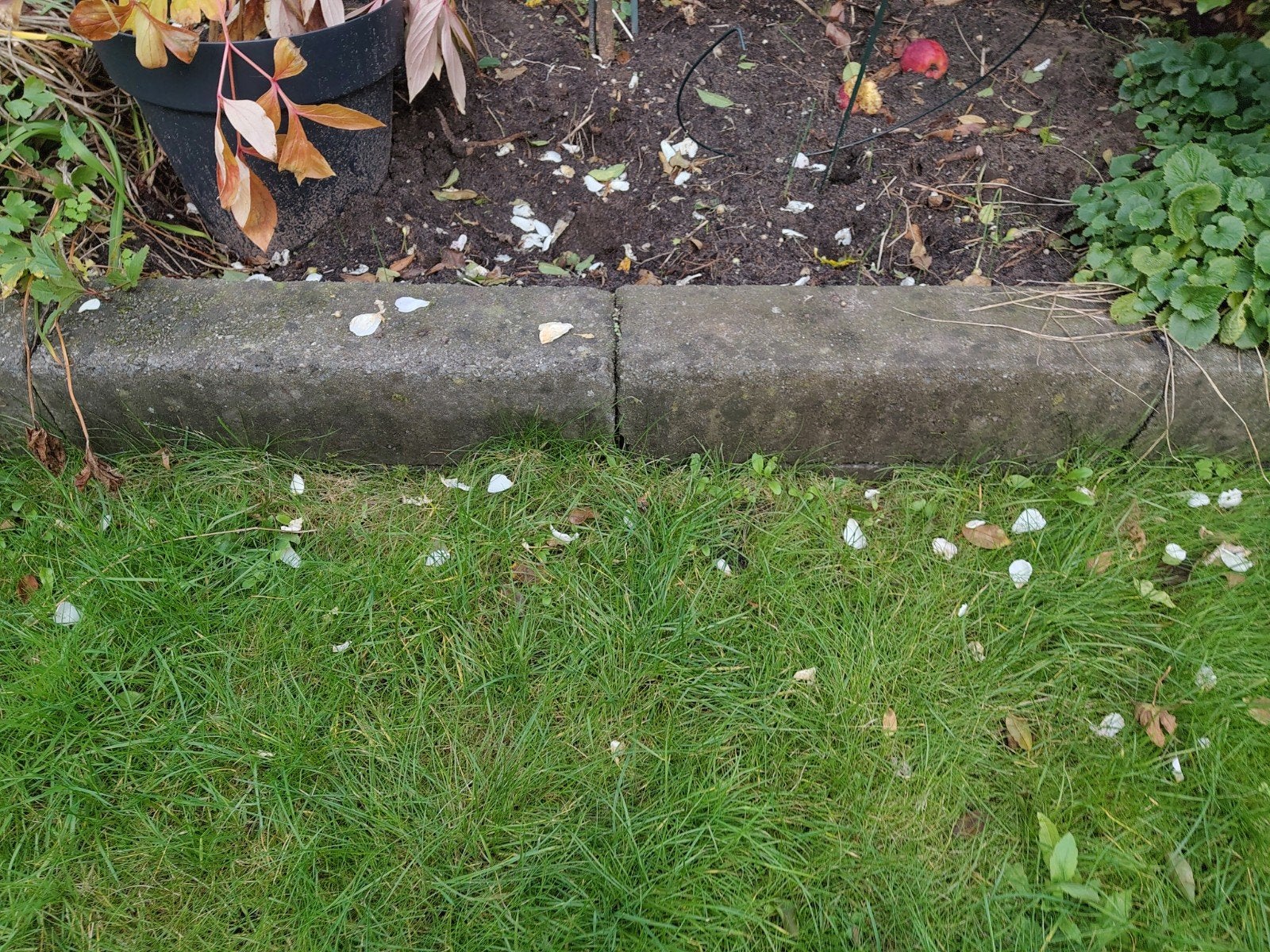 stapelblokken 15*15*60, 35 stuks, Tuin en Terras, Ophalen, Gebruikt, Minder dan 25 cm, Border