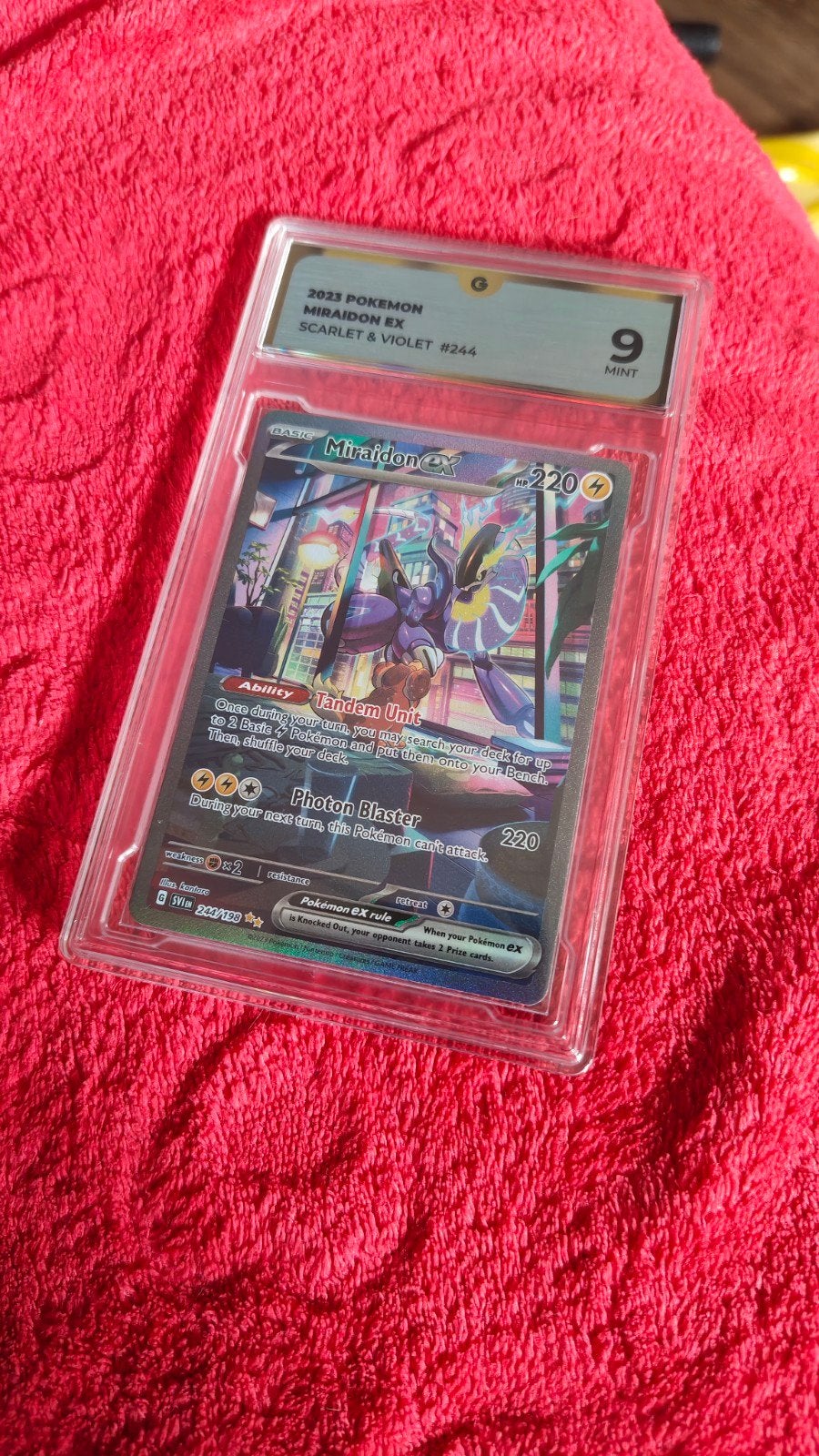 Miradon EX Pokemon kaart #244/198 Global Grading, Ophalen of Verzenden, Zo goed als nieuw