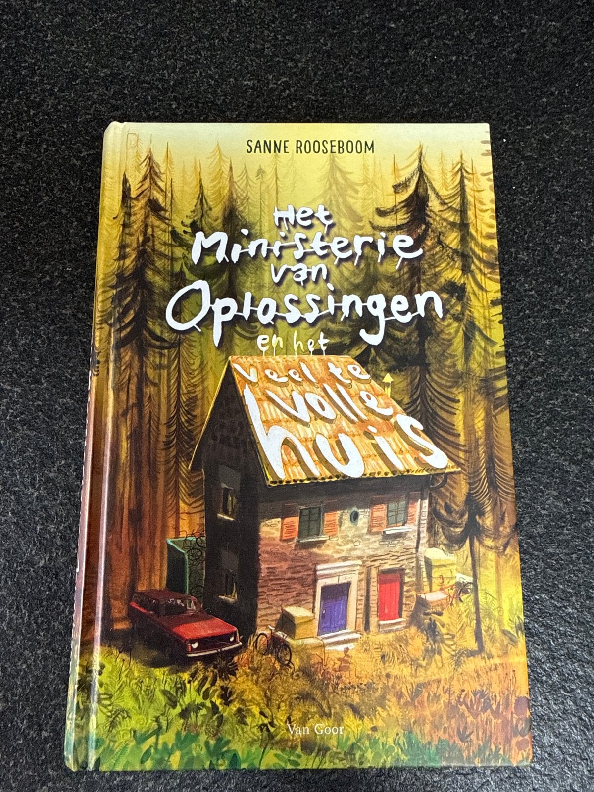 Het ministerie van Oplossingen en het veel te volle huis, Ophalen of Verzenden, Zo goed als nieuw, Sanne Rooseboom