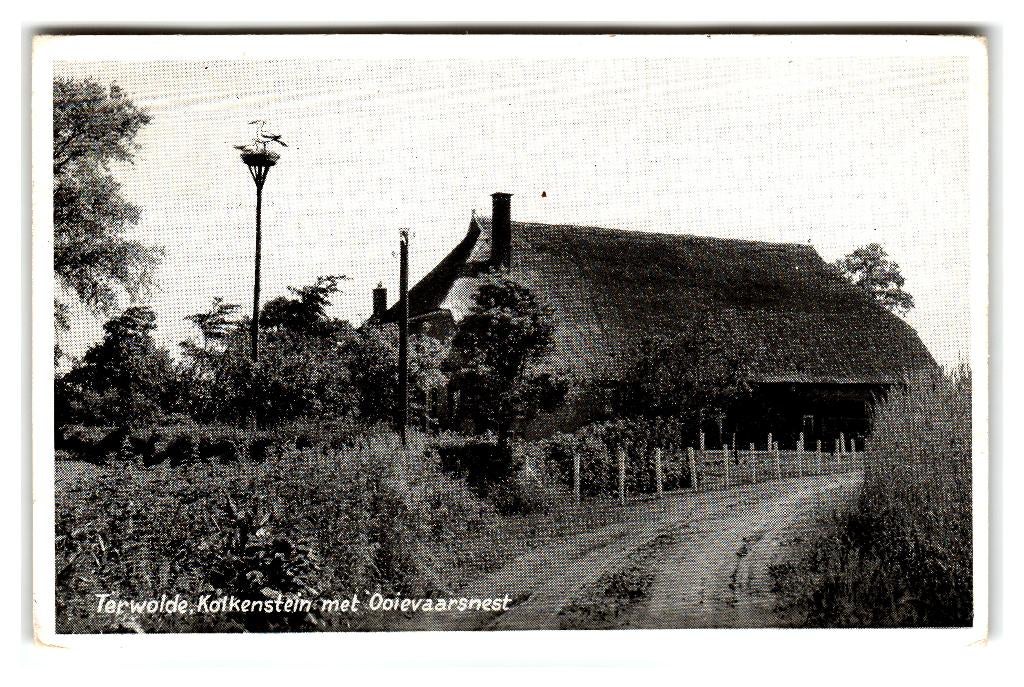Terwolde, Kolkenstein met Ooievaarsnest, Verzenden, 1940 tot 1960, Gelopen, Gelderland